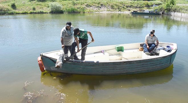 Porsuk Çayı’nda poşette ölü köpek bulundu
