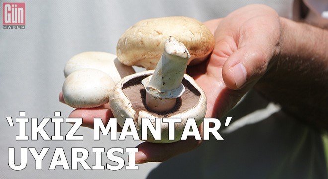 Prof. Dr. Türkekul'dan 'ikiz mantar' uyarısı