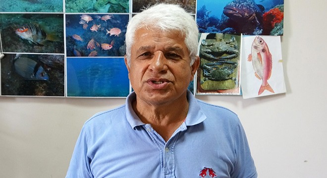 Prof. Dr. Gökoğlu: Denizde, kıyıda balon balığı görmeye alışmalıyız