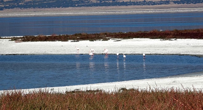 Prof. Dr. Gülle: Bundan sonra bütün göller küçülme trendinde