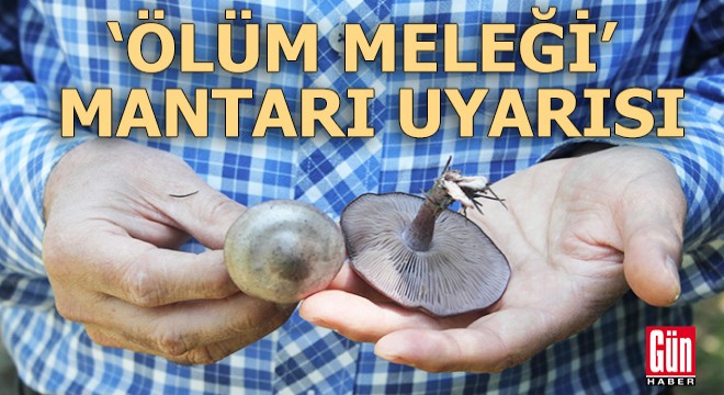 Profesörden 'ölüm meleği' mantarı uyarısı