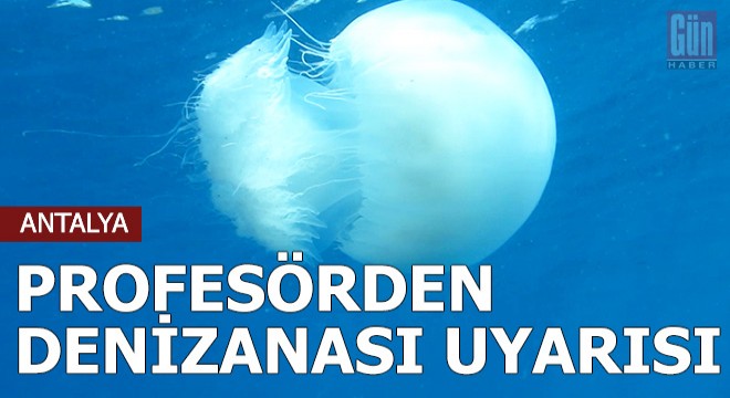 Profesörden denizanası uyarısı