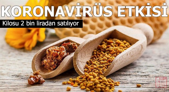 Propolisin kilosu 2 bin liradan satılıyor