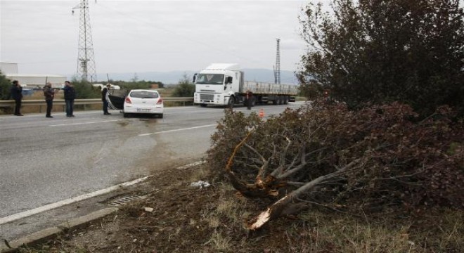 Refüjdeki ağaçları yıkan otomobil, TIR’ın altına girmekten kurtuldu