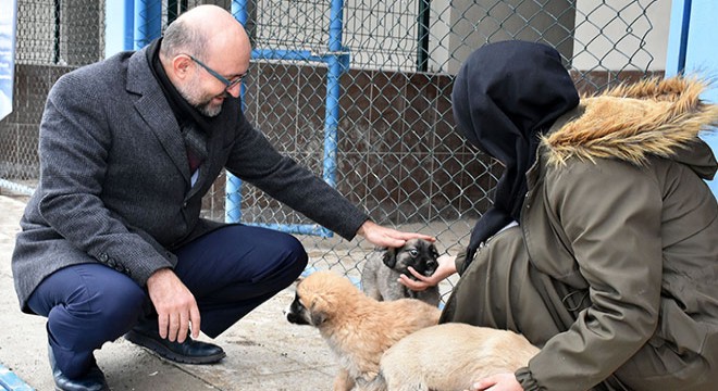 Rektörden Köpek Konaklama Oteli'nde inceleme