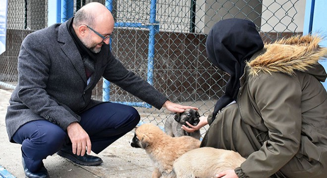 Rektörden Köpek Konaklama Oteli nde inceleme