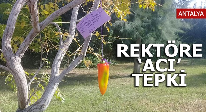 Rektöre  acı biberli  eleştiri