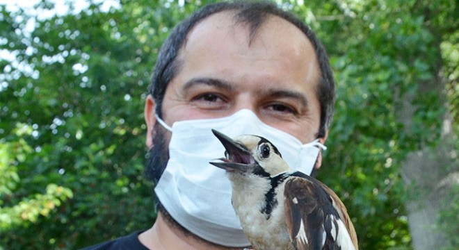 Rıza Kamil: Bir yerde kuş cıvıltısı varsa orada hayat vardır