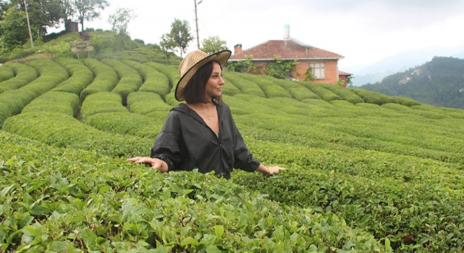 Rize’de 'çay turizmi' bereketi
