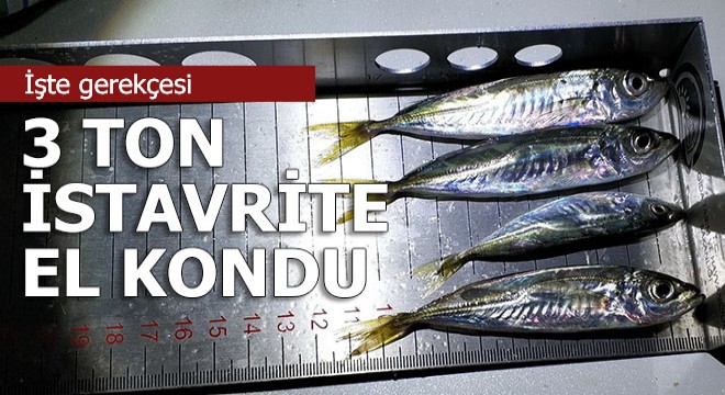 Rize’de, 3 ton istavrite el konuldu