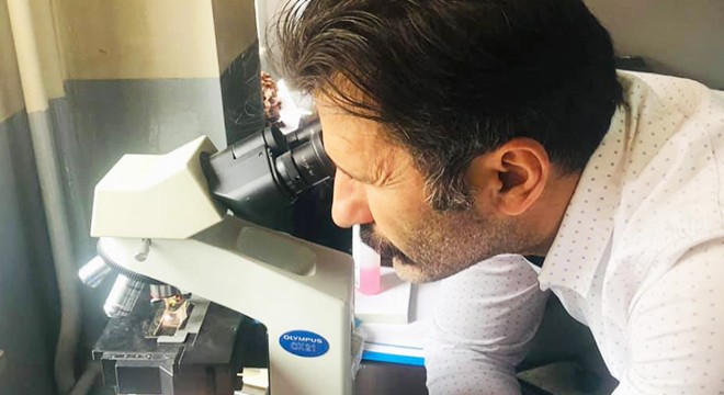 Romanya’daki ceviz zararlısını Türk bilim insanları tespit etti