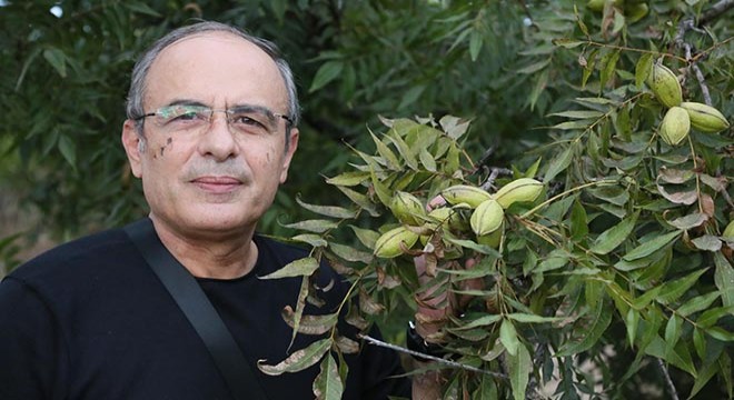 Rus iş insanından 300 dönüme 'pikan' yatırımı