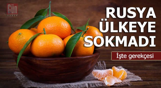 Ruslar tonlarcasını gümrükten geri çevirdi