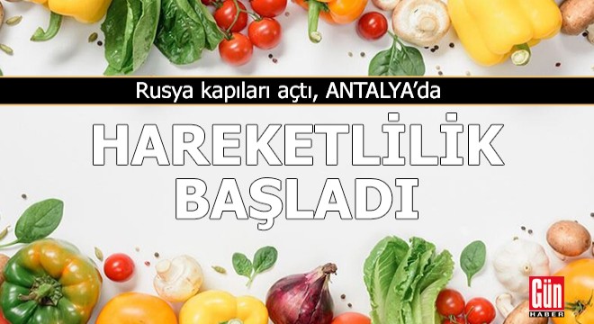 Rusya kapıları açtı, Antalya'da hareketlilik başladı