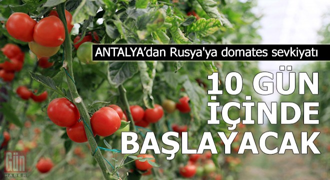 Rusya'ya domates sevkiyatı 10 gün içinde başlayacak