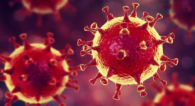 Rusya’da 5 bin 966 yeni koronavirüs vakası