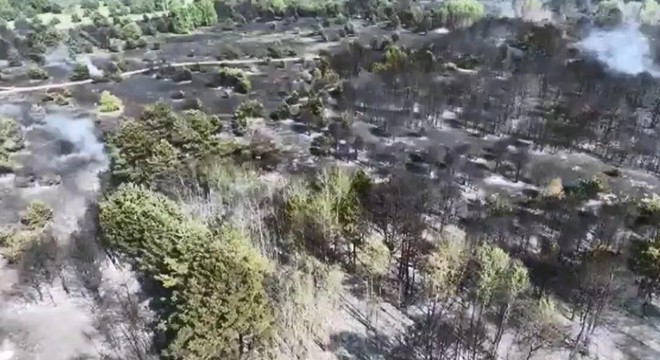 Rusya’dan sonra Ukrayna’da da orman yangını