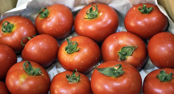 Rusya ya domates ihracat kotası 50 bin ton artırıldı