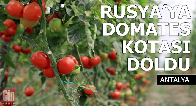 Rusya ya domates kotası yine doldu