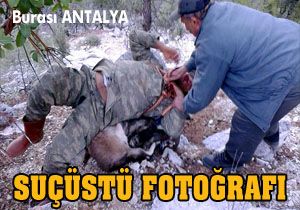 Suçüstü fotoğrafı
