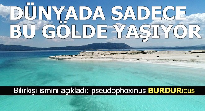 Sadece Salda'da yaşıyor