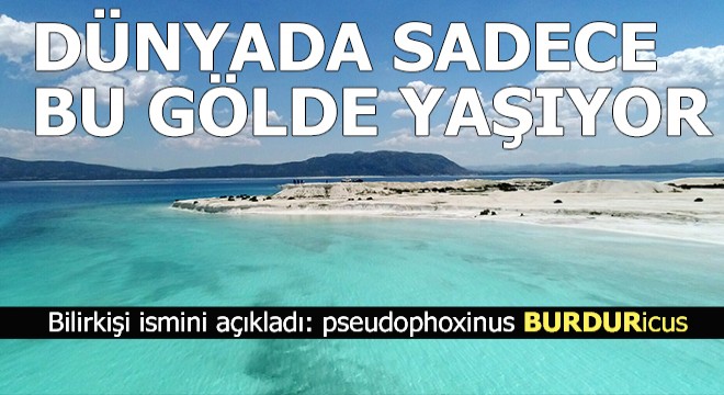 Sadece Salda da yaşıyor