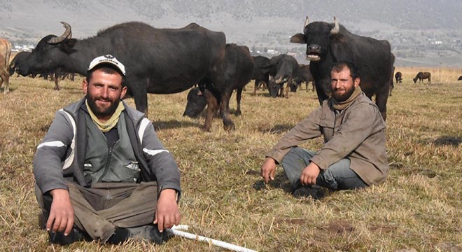 Sağır ve dilsiz 2 kardeş, 20 yıldır çobanlık yapıyor