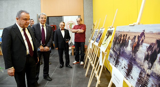 Sağlık çalışanlarının sergisini Böcek açtı