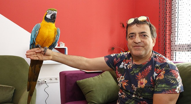 Sahibi, Özal'ın papağanı 'Cabbar'a eş arıyor