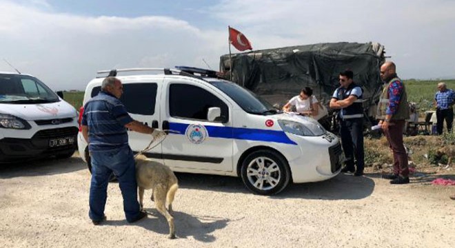 Sahibinin aç ve susuz bıraktığı köpeklere el konuldu