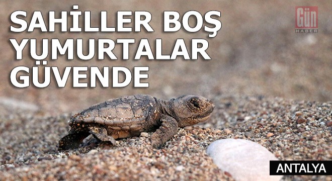 Sahiller boş yumurtalar güvende...