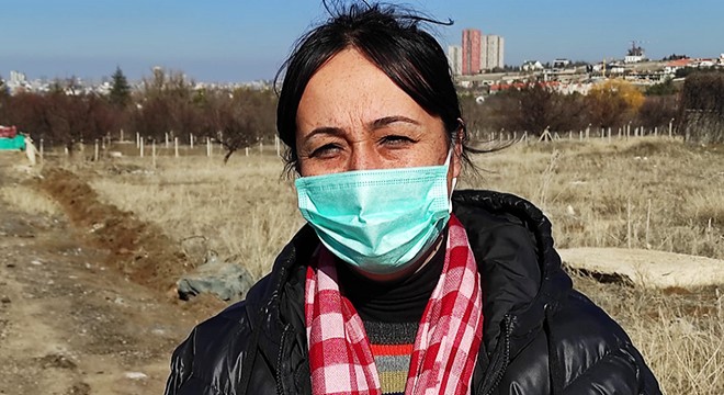 Sahiplendiği köpeğin kulaklarını kesen kişiye para cezası