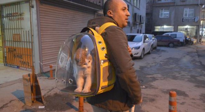 Sahiplendiği sokak kedisini sırt çantasında gezdiriyor
