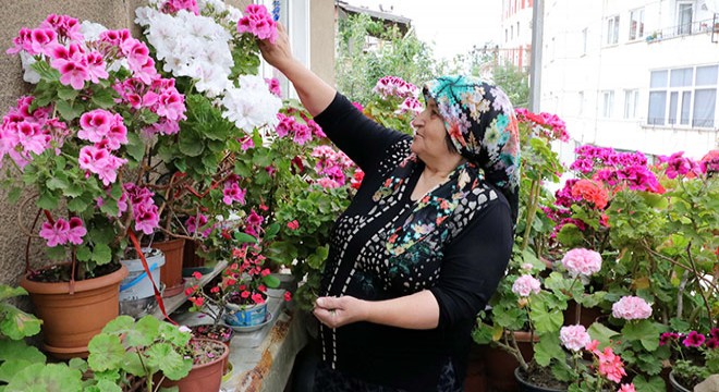 Salgın günlerinde evini çiçek bahçesine çevirdi