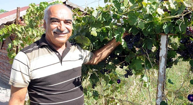 Salgın günlerini hobi bahçelerinde geçiriyorlar