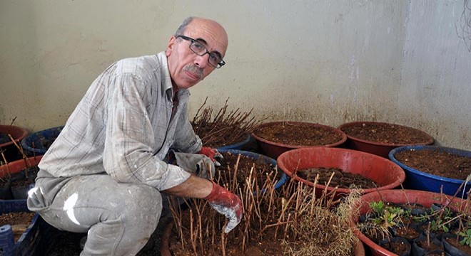 Salgın nedeniyle dışarı çıkmadı, 50 yılık evini onardı