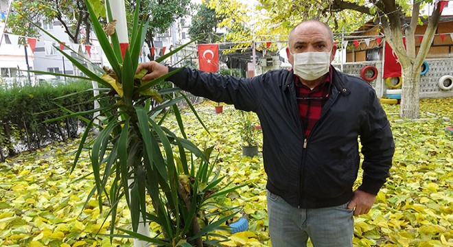 Salgında kapalı olan çay bahçesinde seyirlik manzara