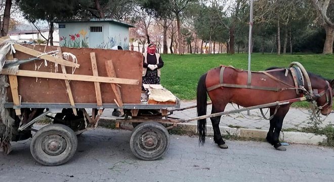 Salihli’de at arabaları trafikten menedildi