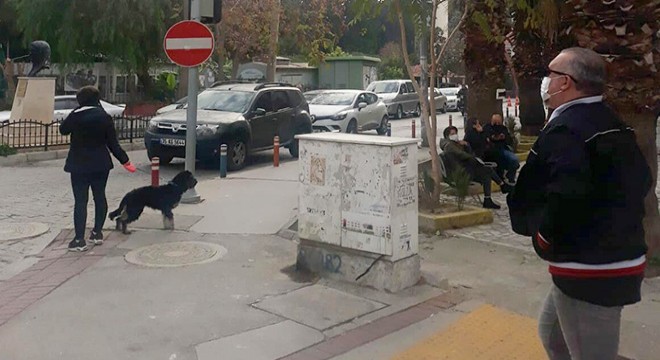 Samos Adası'ndaki deprem, İzmir'de paniğe neden oldu