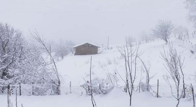 Samsun'da kar yağışı etkili oluyor