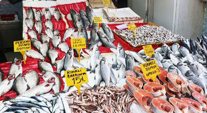 Samsun'da somon, levrek ve çupraya talep arttı