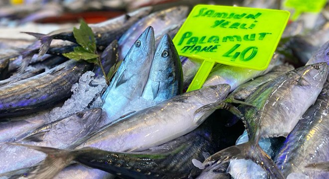 Samsun’da balık tezgahları palamutla doldu