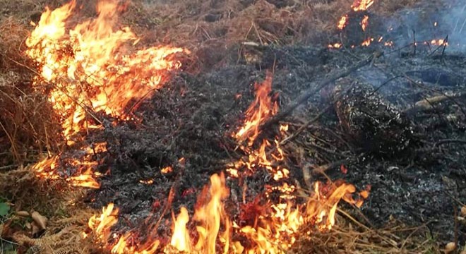 Samsun da kamp ve piknik kısıtlaması, anız yakılmasına yasak