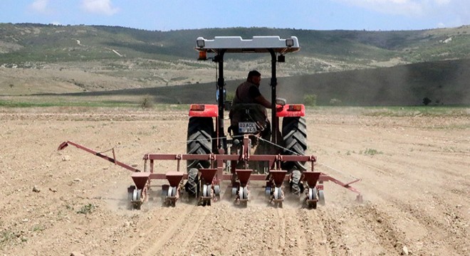 Sandıklı da pancar ekimi tamamlandı