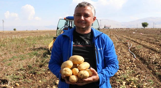 Sandıklı da patates hasadında sona gelindi