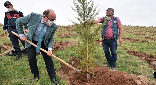 Sandıklı protokolü fidan dikti