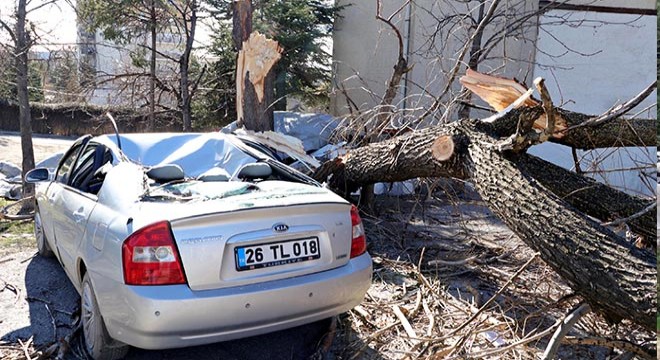 Saniyeler önce park ettiği otomobilinin üzerine ağaç devrildi