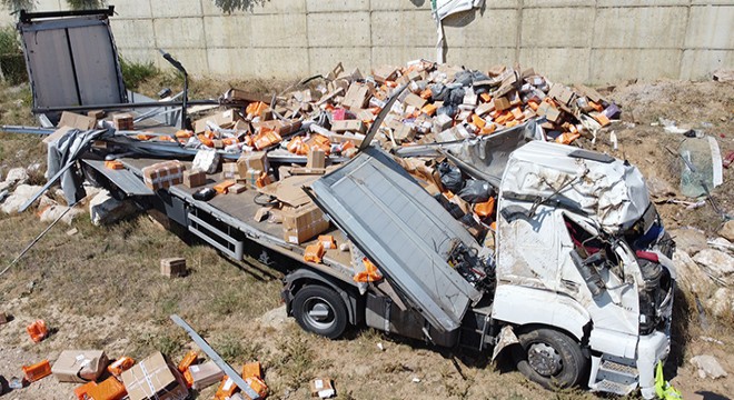 Şarampole devrilen TIR ın sürücüsü öldü