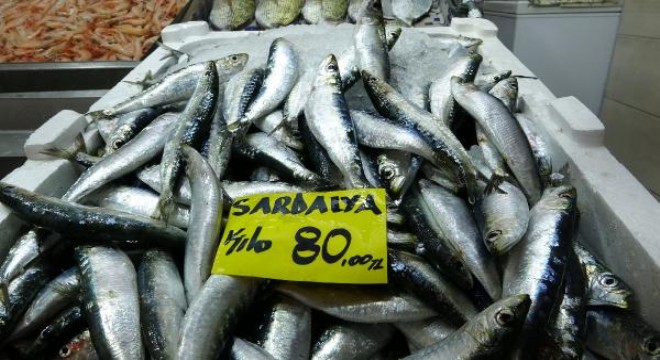 Sardalyanın kilosu 80 lira