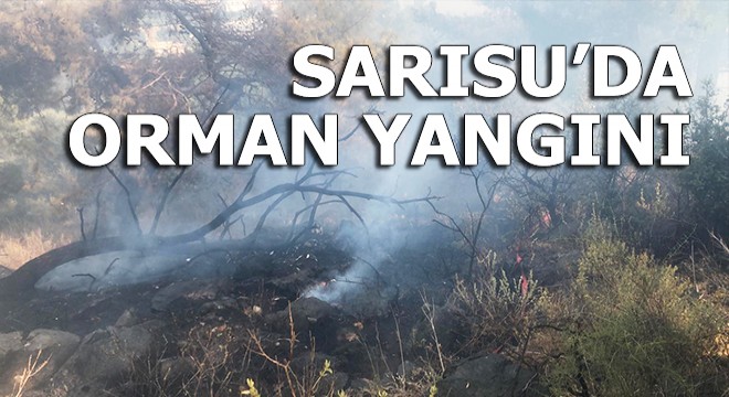 Sarısu’da orman yangını